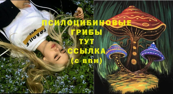 прущая мука Белокуриха