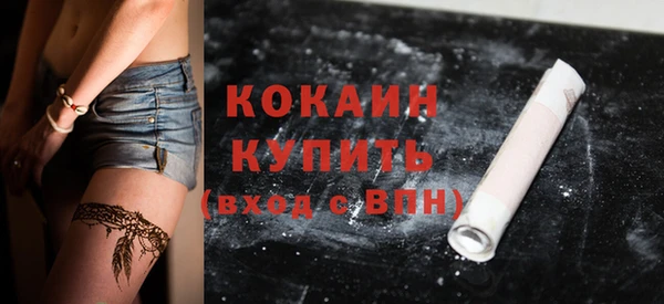 молекула духа Белоозёрский
