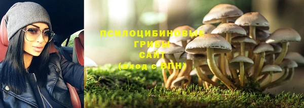 прущие грибы Горняк