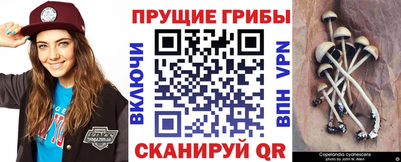 MEGA маркетплейс Томилино Галлюциногенные грибы мухоморы